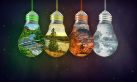 Study on Knowledge Sharing – Spotify Guilds / CoPs