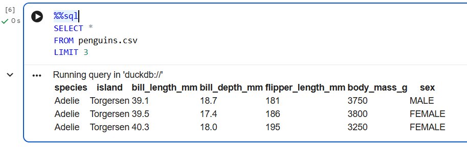 DuckDB query in Jupyter notebook