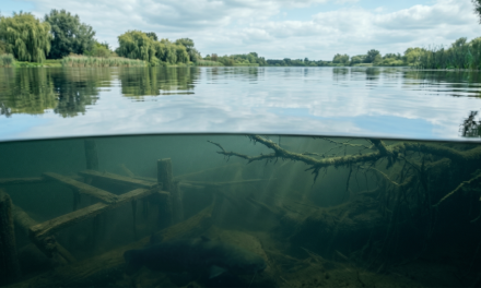 GenAI Critical Thinking: The Skill AI Cannot Replace